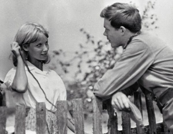 Фото Зося. Кадр из фильма «Зося»