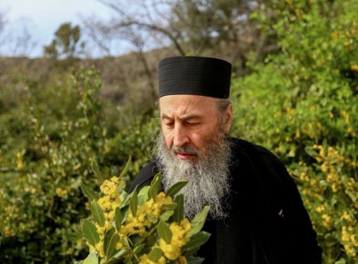 Блаженнейший митрополит Онуфрий – предстоятель УПЦ МП – на Афоне