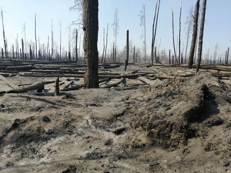 «Чернобыльская зона была не готова к масштабному пожару»