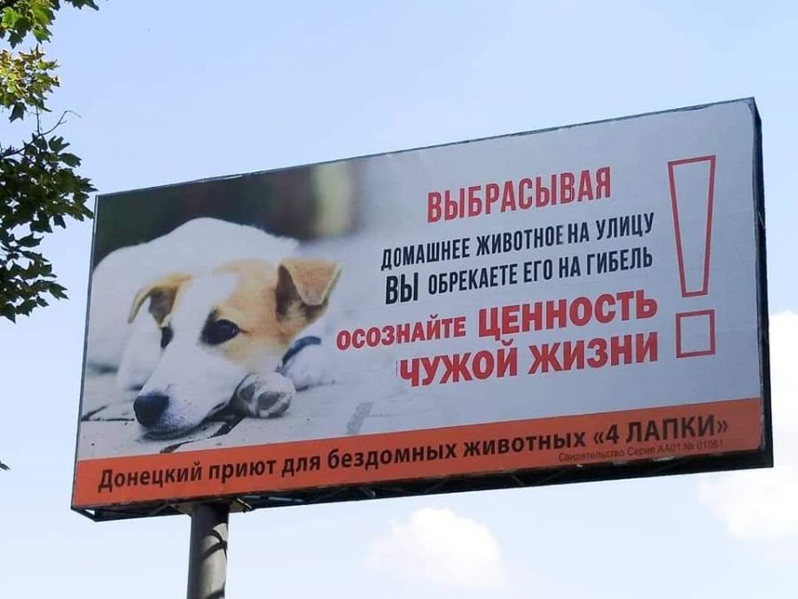 Социальный эксперимент в Донецке с участием приюта «4 ЛАПКИ»