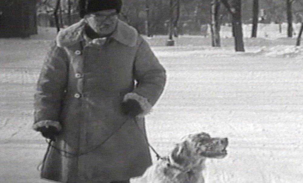 Гавриил Троепольский со своим сеттером Лелем