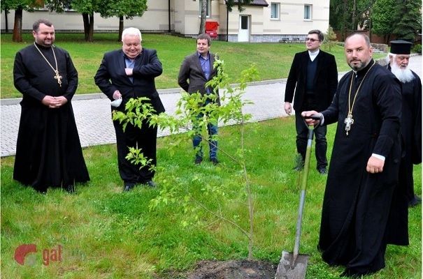 Клён единства – символический шаг к объединению УГКЦ и СЦУ