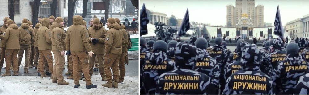 Уже существующие частные армии «Муниципальная варта» и «Национальные дружины»