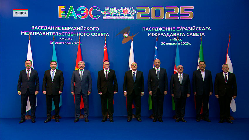 Участники заседания Евразийского межправительственного совета