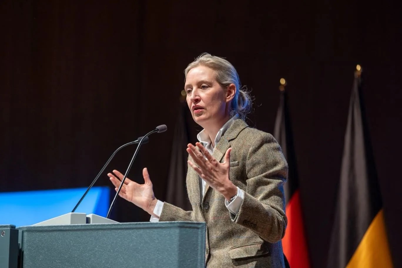 Алиса Вайдель - сопредседатель партии «Альтернатива для Германии / Alice Weidel