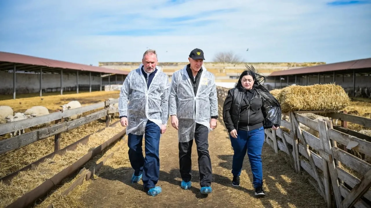 Институт животноводства степных районов имени М.Ф. Иванова в Аскании-Нова планирует развивать молочное овцеводство 
