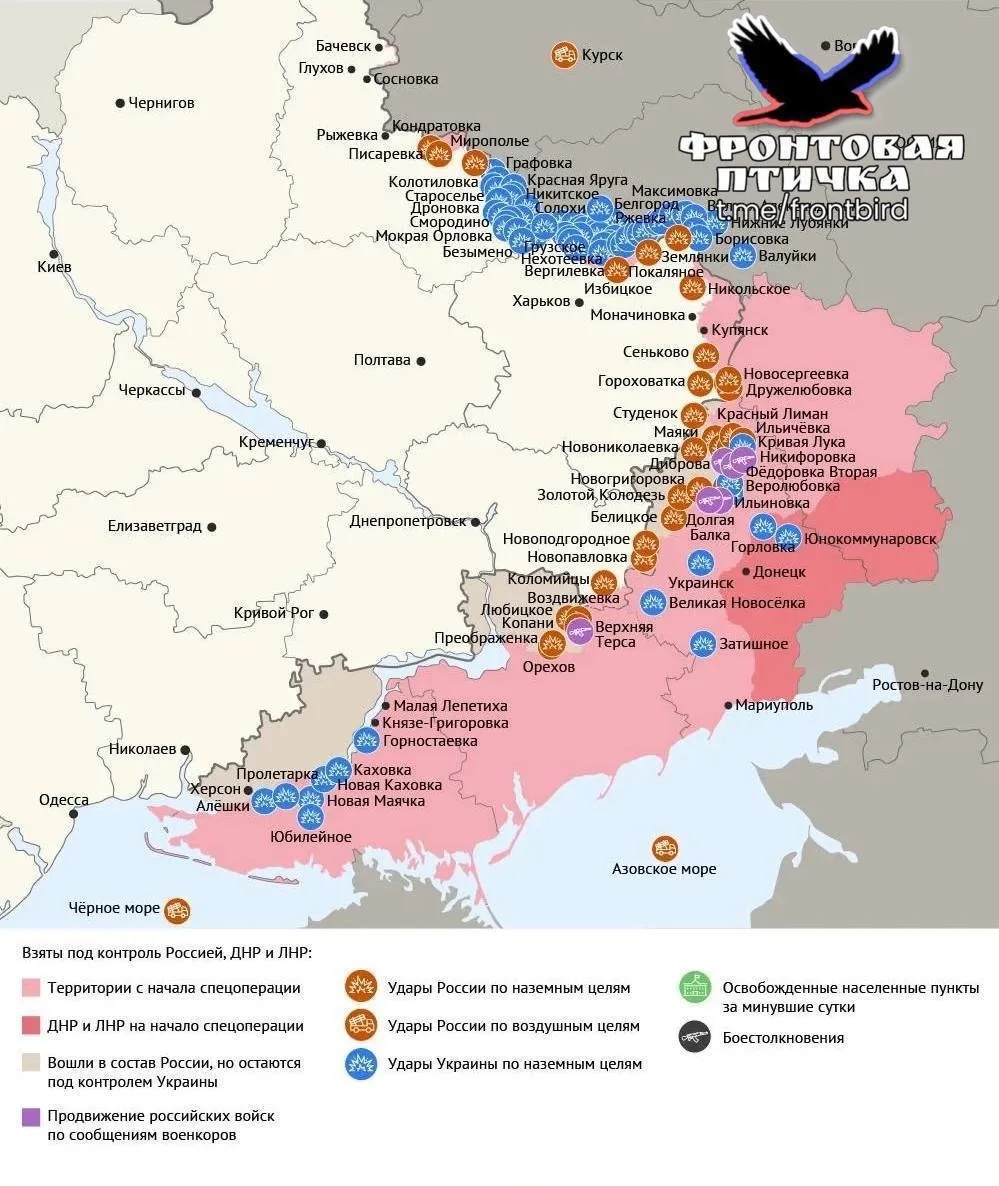 Карта СВО 25 апреля 2026 года. Купянское направление.