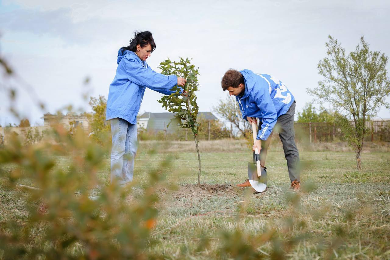 Посадка деревьев на Запорожье 