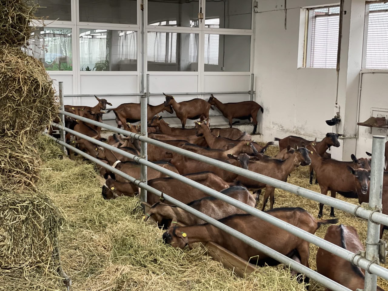 Предприятие «Агрофирма» Херсонской области