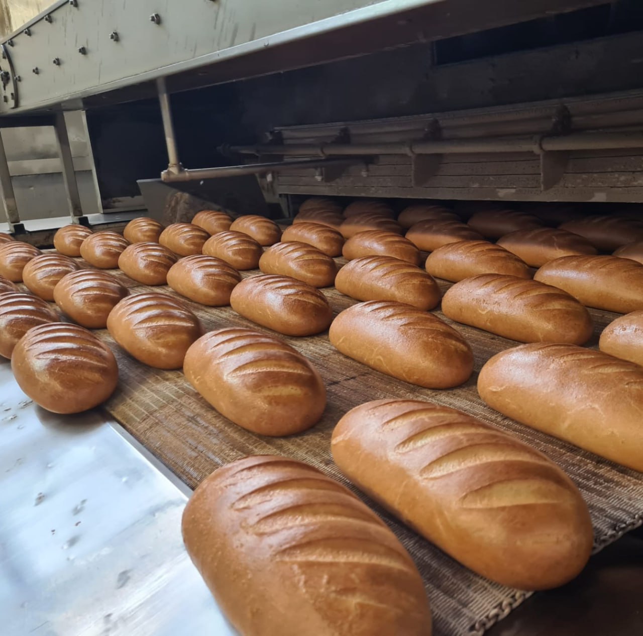 Продукция компании «Мир Хлеба»