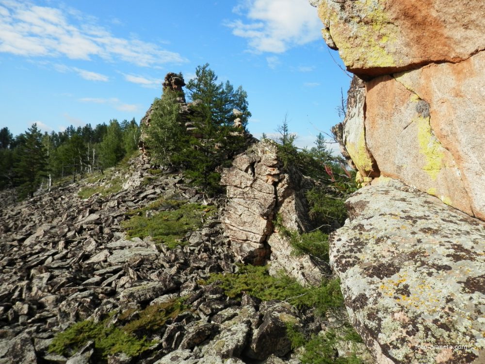 Борщовочный хребет и тот в России