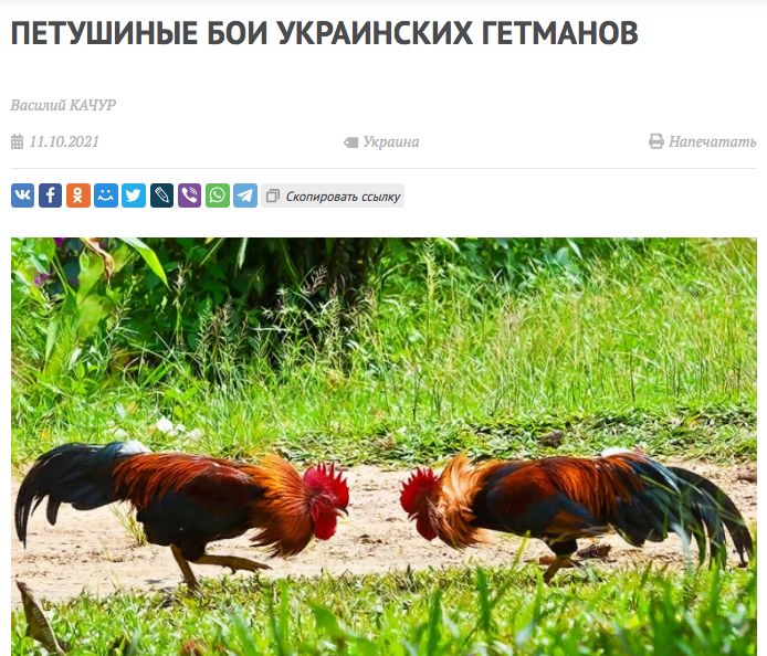 На неделе «гетманы всея Украины» устраивали петушиные побоища