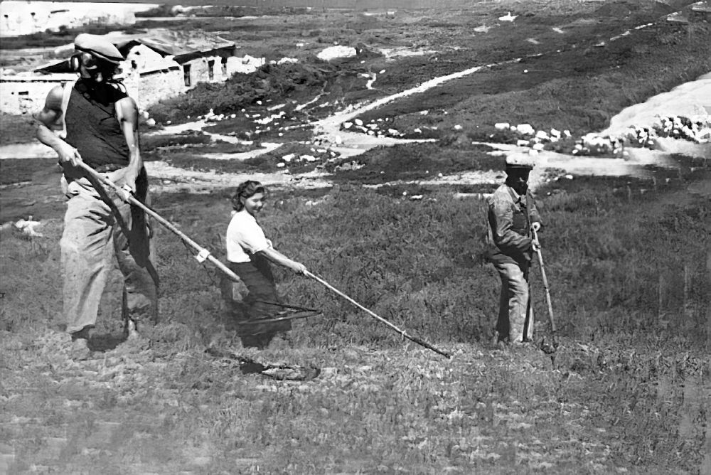 Разминёры ищут мины