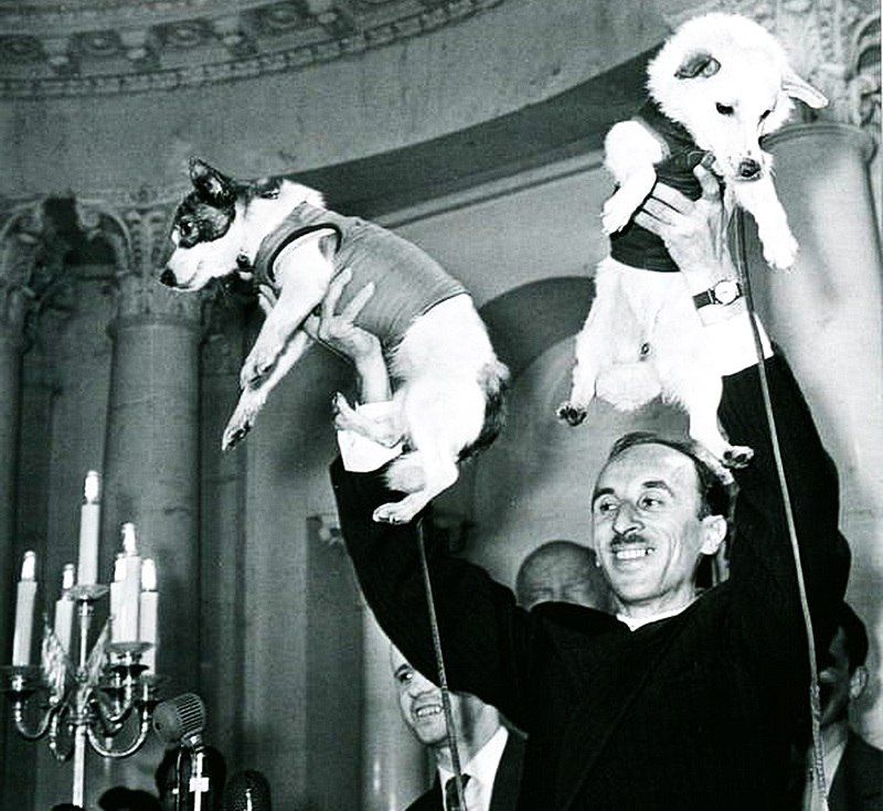 Олег Газенко с вернувшимися на Землю четвероногими космонавтами Белкой и Стрелкой