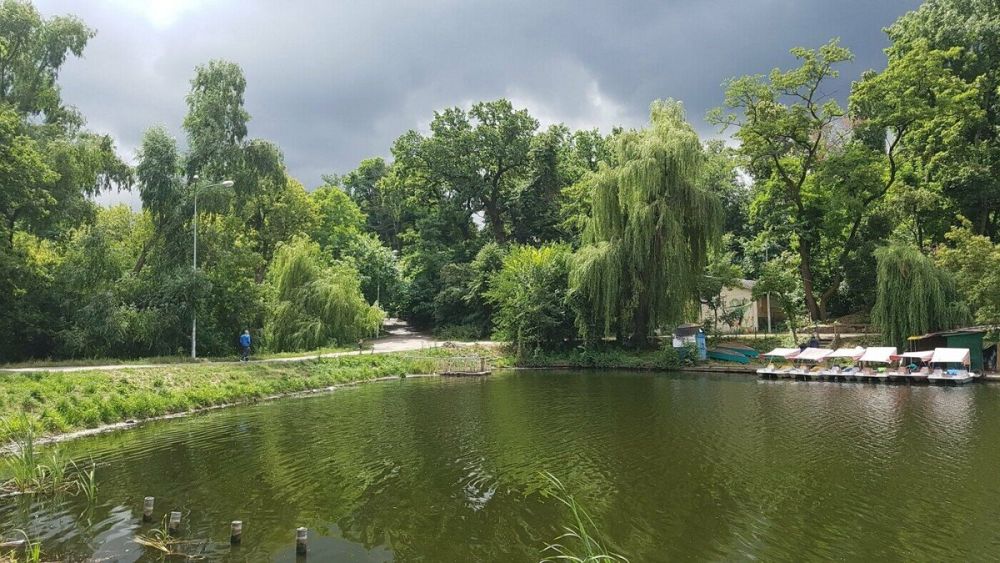 Живописный парк «Нивки»