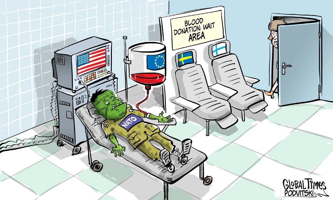 Меткая карикатура Global Times