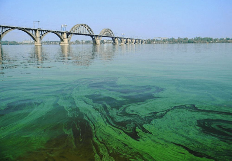 Как Украина себе за крымскую засуху отомстила