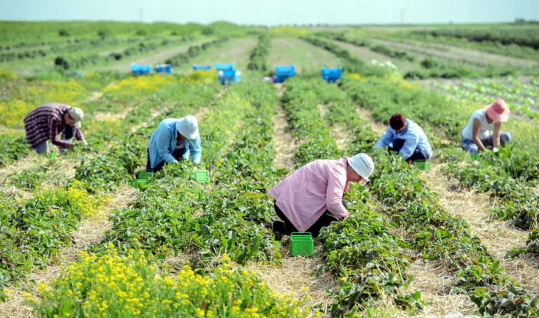 Заробитчане – главные инвесторы Украины