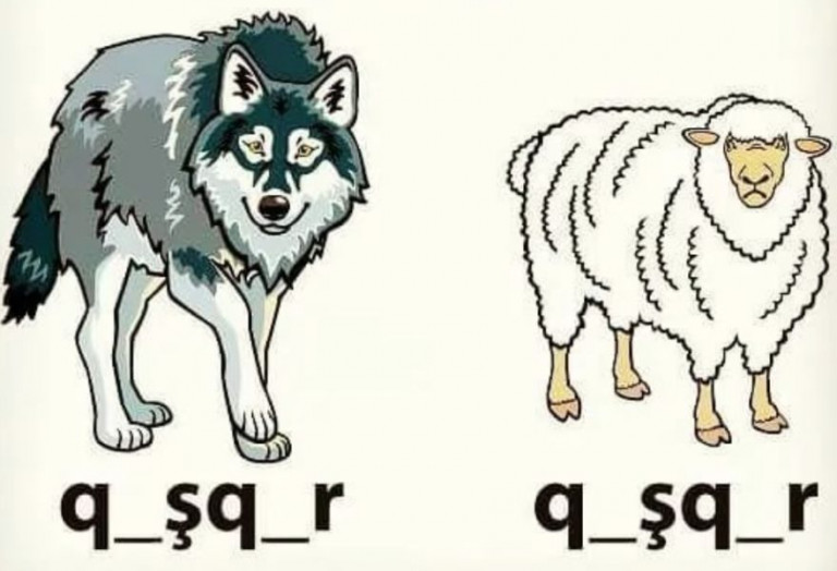 Крымских татар калечат латиницей