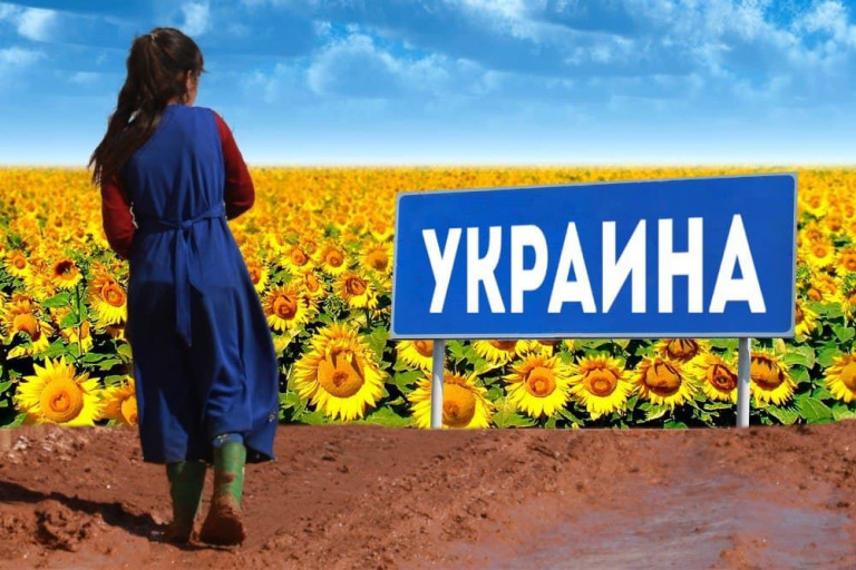 Украина: афганские беженцы и цинизм эвакуации