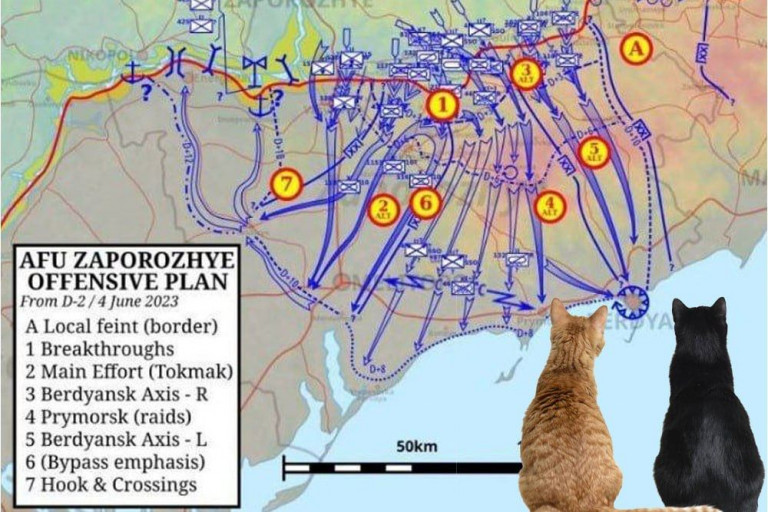 На заглавном фото:  – Вы до азовских рыбов уже наступаете?  – Нет, только рисуем. – Красивое…
