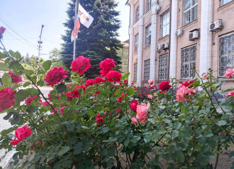 На заглавном фото: А ещё металлурги Донбасса выращивают розы...