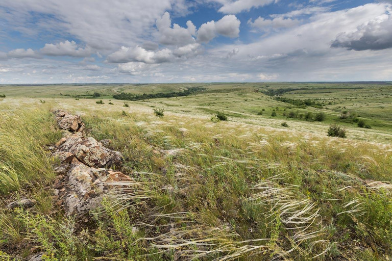На заглавном фото: Провальская степь