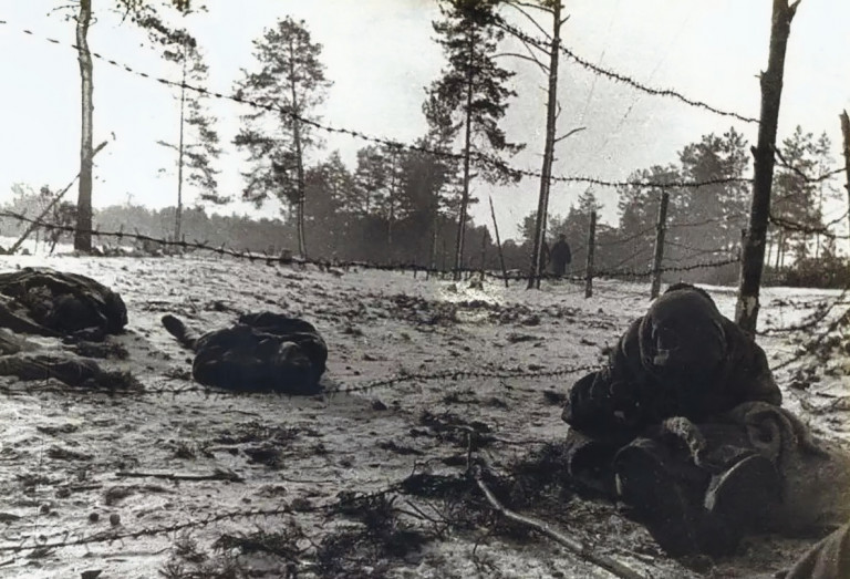 Заглавное фото. Жуткие кадры с изображением жертв концлагеря Озаричи