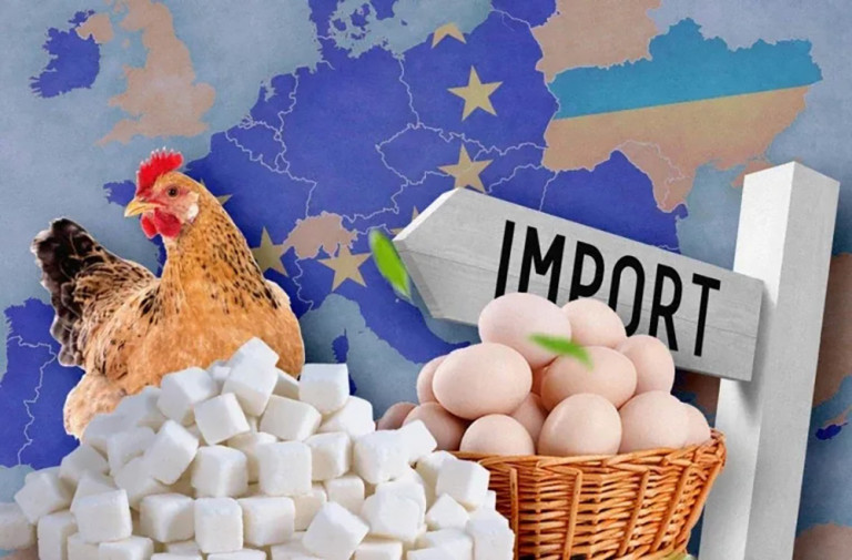 В ЕС ввели квоты на импорт продуктов из Украины