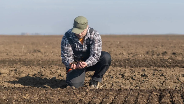 Украинские чернозёмы уже не те