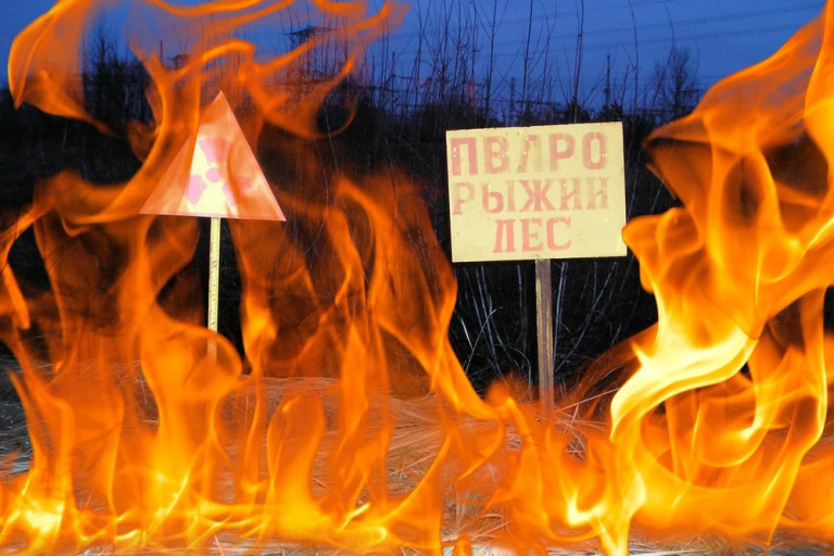 Радиоактивный лес недалеко от Припяти