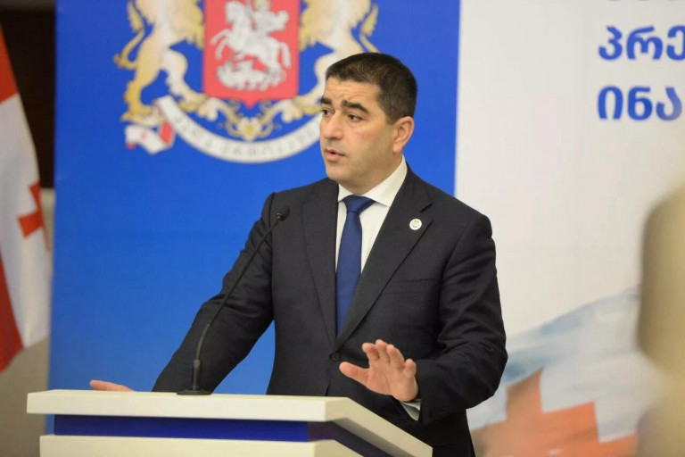 Заглавное фото: Председатель парламента Грузии Шалва Папуашвили